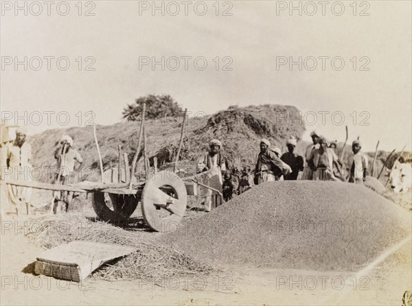Indian farm labourers in Sukkur. Indian farm labourers pause to stare at the camera beside a large haystack and a heap of winnowed grain. Sukkur, Sind, India (Sindh, Pakistan), circa 1908. Sukkur, Sindh, Pakistan, Southern Asia, Asia.