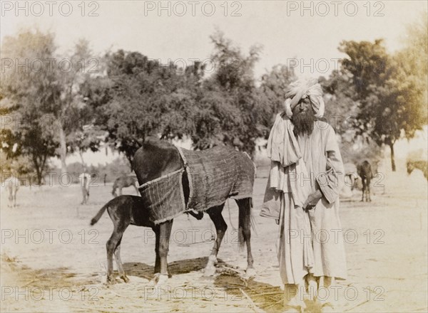 Indian groom with a mare and foal. An Indian groom stands in a paddock on a colonial settler's farm, beside a mare wearing a horse blanket and her foal. Sukkur, Sind, India (Sindh, Pakistan), circa 1908. Sukkur, Sindh, Pakistan, Southern Asia, Asia.