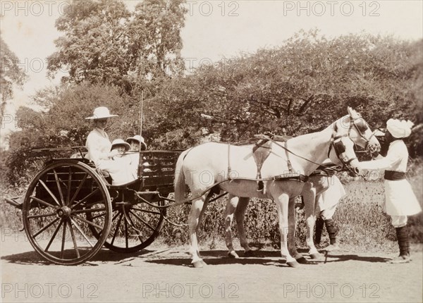 The Lawrence family sets off in a carriage. Phyllis Louise Lawrence, the first wife of Sir Henry Staveley Lawrence (a British civil servant), sits in a horse-drawn carriage with her sons, George and Henry, as two Indian attendants prepare the horses for departure. India, circa 1905. India, Southern Asia, Asia.
