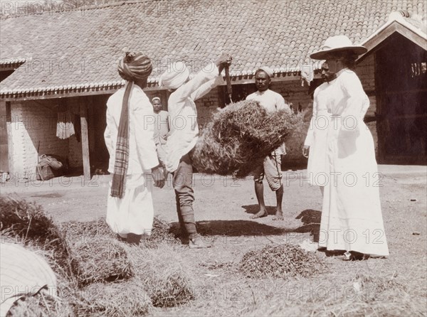 Preparing hay at a stables. Phyllis Louise Lawrence, the first wife of Sir Henry Staveley Lawrence (Collector of Karachi), watches as Indian 'syces' (hostlers) prepare bales of hay outside farm stables in Karachi. Karachi, Sind, India (Sindh, Pakistan), circa 1910. Karachi, Sindh, Pakistan, Southern Asia, Asia.