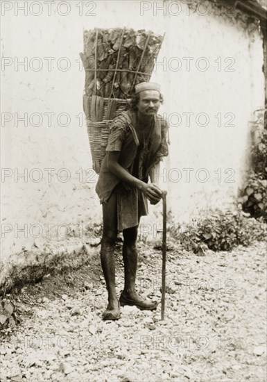 Indian man carrying firewood. An Indian man leans on his walking stick as he poses for the camera carrying a heavy load of firewood in a conical basket on his back. India, circa 1920. India, Southern Asia, Asia.