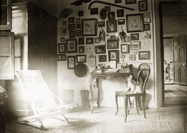 The drawing room at Penshew House. A pet dog sits on a chair in the drawing room in Penshew House, in front of a wall covered with framed pictures and items of memorabilia. Bangalore, India, circa 1900. Bangalore, Karnataka, India, Southern Asia, Asia.