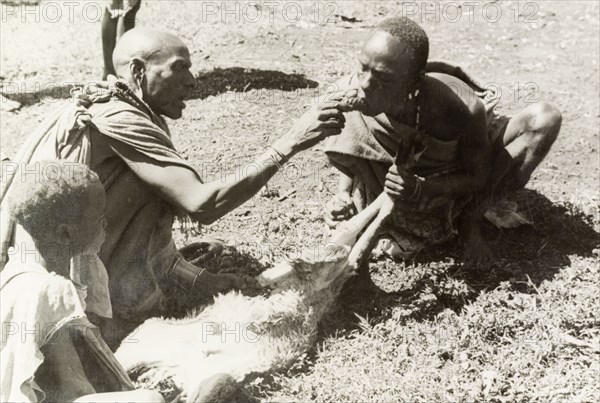 Kikuyu purification ceremony. A Kikuyu witch doctor performs a traditional purification ceremony to absolve a man of his sins. In this ritual, the perpetrator is fed a concoction of herbs and minerals, mixed with the undigested stomach contents from a sacrificed goat. The mixture is then spat or vomited out to cleanse the offender of their sins. South Nyeri, Kenya, 1936. Nyeri, Central (Kenya), Kenya, Eastern Africa, Africa.