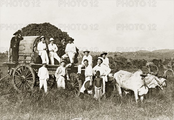 Transport in East Africa in (the) early days'. A group of European men in lightweight suits pose informally around a cattle-drawn cart with a young African boy, possibly their guide. An original caption describes this as "transport in East Africa in (the) early days". Kenya, 1896. Kenya, Eastern Africa, Africa.