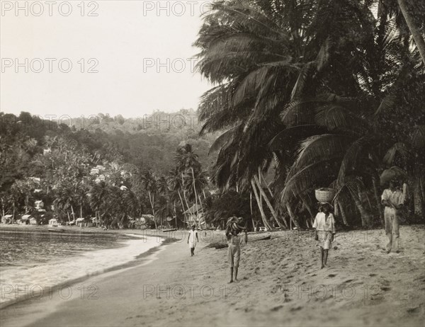 Man-O-War Bay, Tobago. View along the palm tree-lined beach at Man-O-War Bay, where people carry baskets of fruit and bunches of plantains on their heads as they walk along the sand. Tobago, circa 1931., Trinidad and Tobago, Trinidad and Tobago, Caribbean, North America .