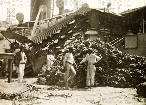 Shipping bananas. Bananas are heaped into a large pile at a sea port, ready to be loaded onto a cargo ship and exported. Probably Colombia, circa 1931. Colombia, South America, South America .