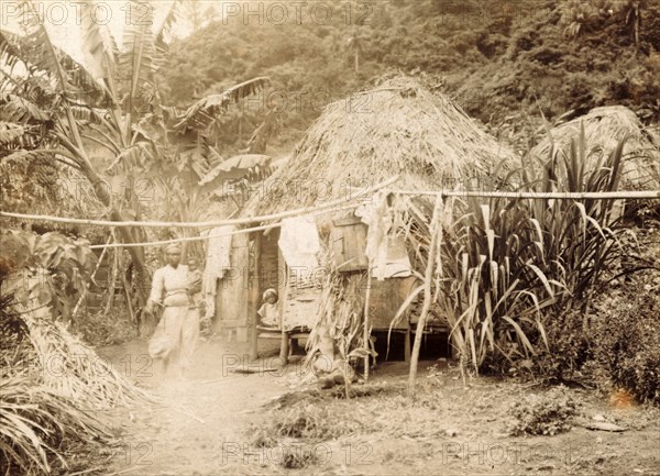 A domestic dwelling in St Vincent. A woman and children appear at the doorway of a thatched hut, which is set in a clearing amidst tropical vegetation. St Vincent, circa 1902. St Vincent and the Grenadines, Caribbean, North America .