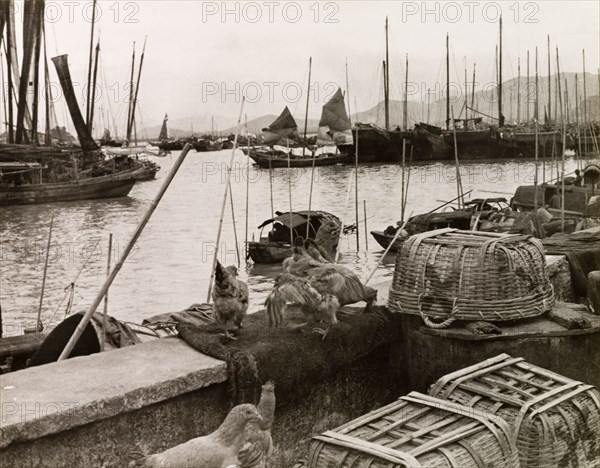 Inner Harbour, Macau. Junks and sampans crowd the waters of Inner Harbour, which is encircled by the steep hills of the Macau peninsula. Macau, China, 1963. Macau, Macau, China, People's Republic of, Eastern Asia, Asia.