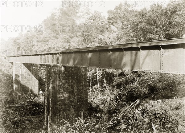 Railway bridge crossing Dabadie ravine, Trinidad. View of a Trinidad Government Railway bridge crossing Dabadie ravine. Trinidad, circa 1912., Trinidad and Tobago, Trinidad and Tobago, Caribbean, North America .