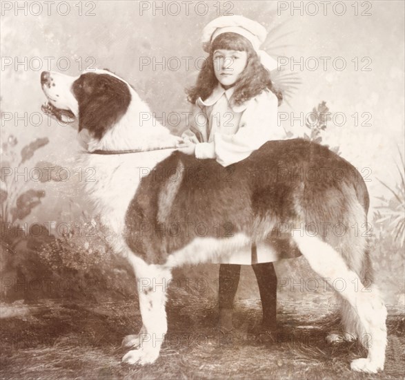 British girl posing with pet dog, India. A studio portrait of a young British girl posing with a pet St Bernard dog called Credy. India, circa 1900. England (United Kingdom), Western Europe, Europe .