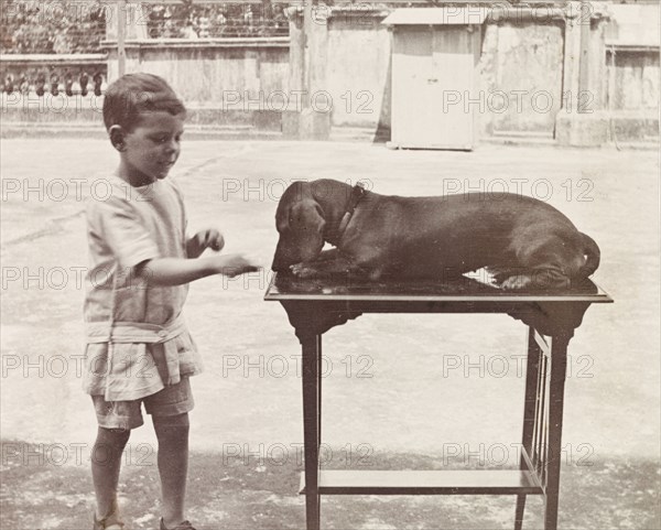James Murray with pet dachshund. Six year old James Murray shows off his prize-winning dachshund, Hunden, at a dog show in Calcutta. Calcutta (Kolkata), India, 1912. Kolkata, West Bengal, India, Southern Asia, Asia.