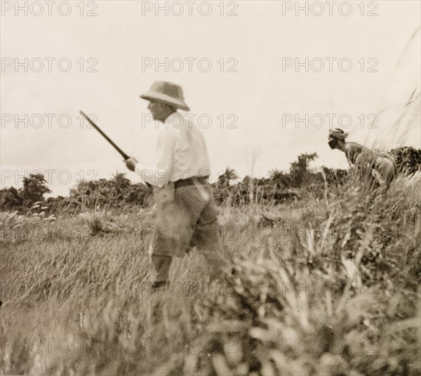 Snipe hunting in paddy fields, Calcutta. James Murray goes snipe hunting with a 'shikari' (hunter) in the paddy fields or 'jeels' on the outskirts of Calcutta. Calcutta (Kolkata), India, 1931. Kolkata, West Bengal, India, Southern Asia, Asia.