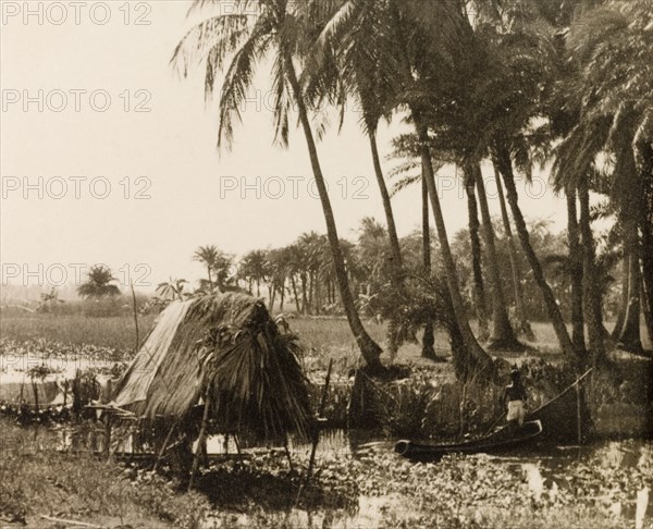 Canoeing on stream through paddy fields, Calcutta. An Indian man navigates a canoe along a stream running through the paddy fields on the outskirts of Calcutta. Calcutta (Kolkata), India, circa 1932. Kolkata, West Bengal, India, Southern Asia, Asia.