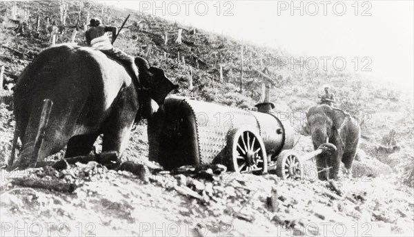 Elephants hauling a locomotive boiler. Two elephants haul a wheeled locomotive boiler up a deforested hill, under the direction of their mahouts (elephants handlers). Ceylon (Sri Lanka), 1912. Sri Lanka, Southern Asia, Asia.