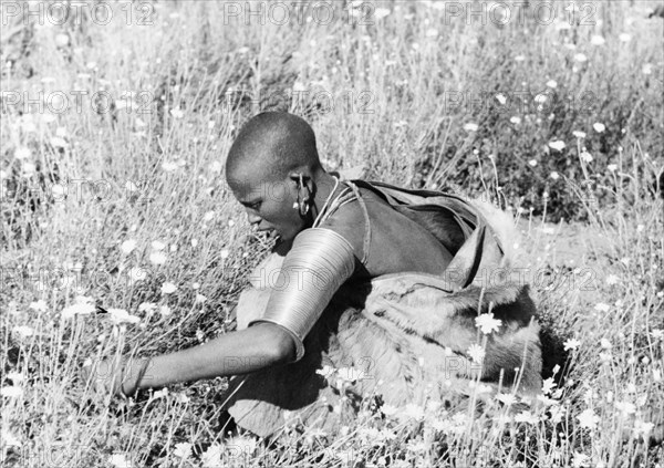 Picking pyrethrum on a Kenyan farm. A Kikuyu woman wearing traditional dress and jewellery picks pyrethrum flowers (Chrysanthemum cinerariaefolium) on a Kenyan farm. Probably Njoro, Kenya, circa 1936. Njoro, Rift Valley, Kenya, Eastern Africa, Africa.