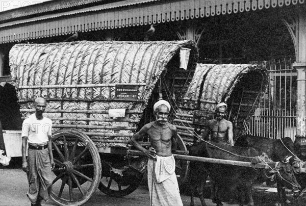 Two covered carts, Ceylon. Three men pose for the camera beside two covered bullock carts. A sign on the nearest cart reads: 'S.D.S. Dissanayake, Ingham Street'. Colombo, Ceylon (Sri Lanka), circa 1935. Colombo, West (Sri Lanka), Sri Lanka, Southern Asia, Asia.