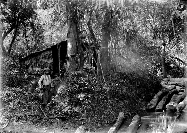 Logging in Burma. A Burmese woodcutter stands in a forest clearing beside a pile of felled trees. Burma (Myanmar), circa 1890. Burma (Myanmar), South East Asia, Asia.