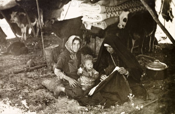 Bedouin women in their tent. Two bedouin women sit in the shade of their tent: one holding an infant, the other attending to a item of clothing. Calves can be seen sheltering from the sun under the canopy of the tent behind them. British Mandate of Palestine, (Middle East), circa 1942., Middle East, Asia.