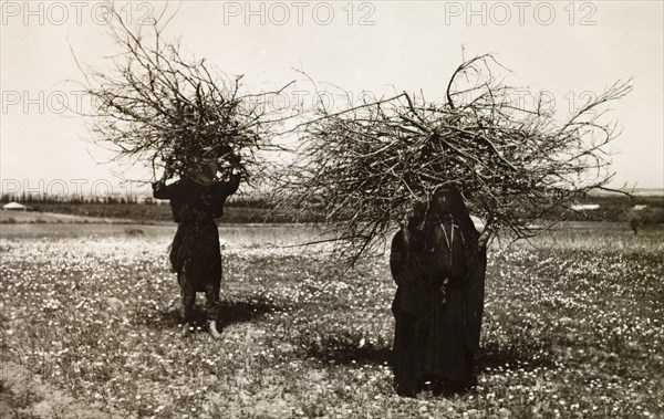 Bedouin couple carrying firewood. A bedouin couple cross a flowery field under the burden of two large bundles of firewood they balance on their heads. British Mandate of Palestine (Middle East), circa 1942., Middle East, Asia.