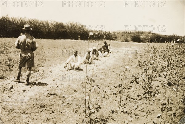 Identification parade, Palestine. A British police dog handler oversees a seated line up of Palestinian men, as a dog sniffs out a suspect in an identification parade. British Mandate of Palestine (Middle East), circa 1942., Middle East, Asia.