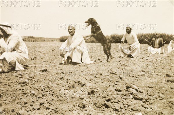 Police dog identifying suspect. A police dog identifies a suspect in a seated line up of Palestinian men during an identification parade. British Mandate of Palestine (Middle East), circa 1942., Middle East, Asia.