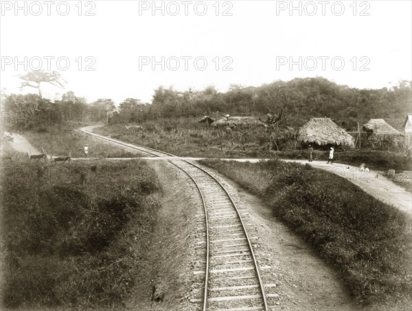 Trinidad Government Railways track. A stretch of track built by Trinidad Government Railways cuts across a road as it curves around a rural settlement. Trinidad, circa 1912., Trinidad and Tobago, Trinidad and Tobago, Caribbean, North America .