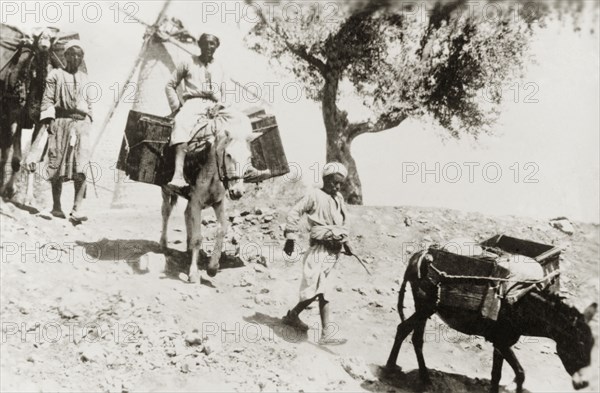 Train of pack animals, Palestine. Arab men lead a train of pack animals past a windmill and down a rocky incline in the Judean hills. Judea, British Mandate of Palestine (Middle East), circa 1938., Middle East, Asia.