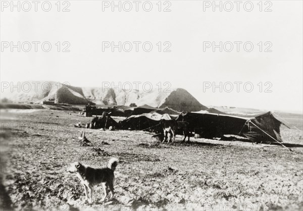 Bedouin tents in the Judean desert'. A bedouin camp site in the Judean desert. Judea, British Mandate of Palestine (West Bank, Middle East), circa 1938., Middle East, Asia.