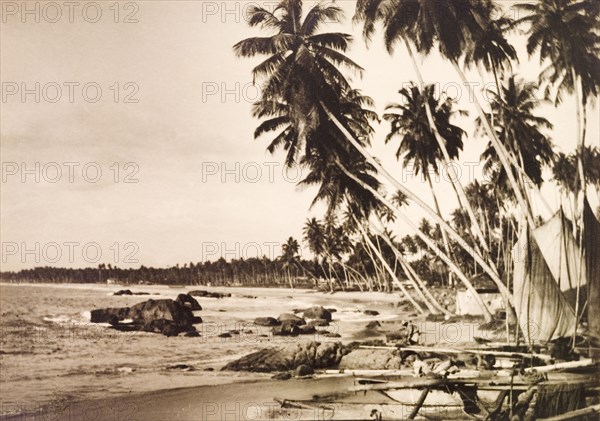 Beach at Mount Lavinia. Small fishing boats sit beneath palm trees on a sandy beach at Mount Lavinia. Colombo, Ceylon (Sri Lanka), January 1939. Colombo, West (Sri Lanka), Sri Lanka, Southern Asia, Asia.