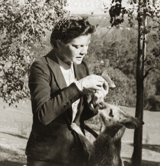 Feeding a kangaroo in Taronga Zoo. A European women feeds a kangaroo in Taronga Zoo. Sydney, Australia, 1940. Sydney, New South Wales, Australia, Australia, Oceania.