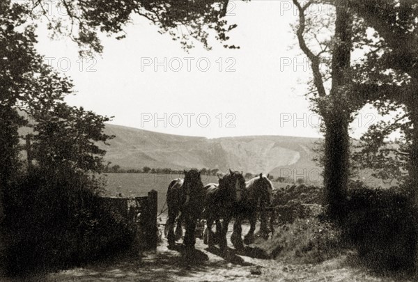 Day's Work Done'. Three Shire horses tow a plough through a field gate at Bo-peep Farm after a day spent working the land. Sussex, England, 1939., Sussex, England (United Kingdom), Western Europe, Europe .