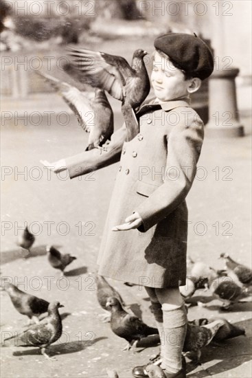 Feeding the pigeons. A British boy named Tim holds out his hand to feed the pigeons during a trip to the zoo. England, 1951. England (United Kingdom), Western Europe, Europe .