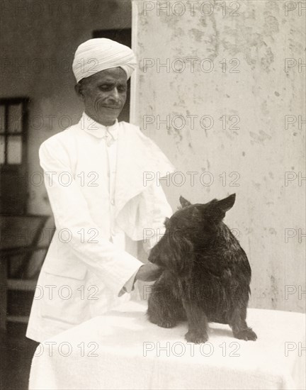 One in a Thousand'. Portrait of an Indian head bearer named Bal Singh, employed by British businessman James Murray who describes him as "one in a thousand". He is pictured grooming one of the Murrays' pet dogs and wears a white house uniform with a turban. Calcutta (Kolkata), India, circa 1935. Kolkata, West Bengal, India, Southern Asia, Asia.