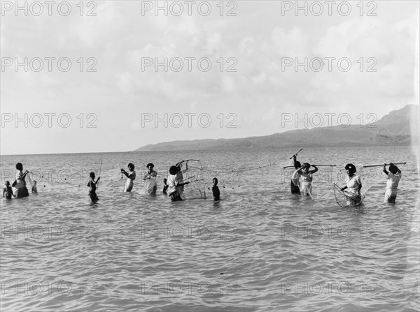 Women and children fishing in Fiji. A group of Fijian womena and children stand thigh deep in water as they fish in the sea using nets attached to short poles. Fiji, 1965. Fiji, Pacific Ocean, Oceania.