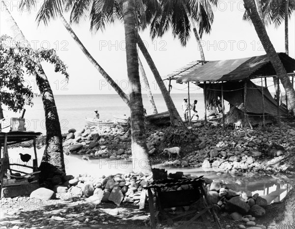Fishing settlement, Dominica. A fishing settlement on the coast. Dominica, 1965., Dominica, Caribbean, North America .