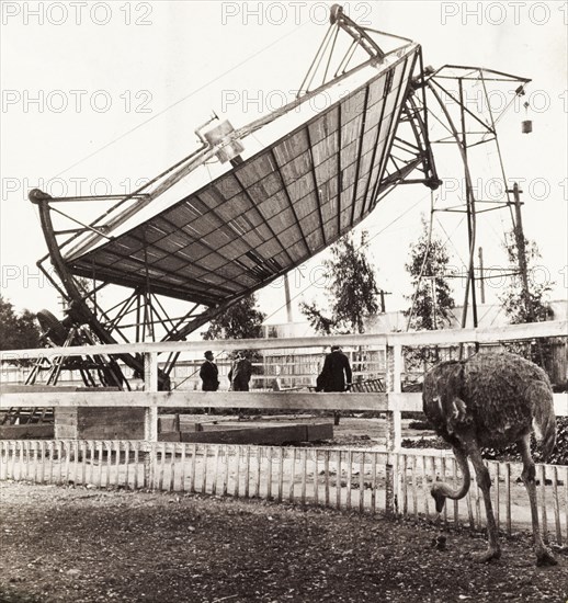 Solar powered ostrich farm. A huge solar power dish towers over an enclosure at an ostrich farm. Soquel, California, United States of America, March 1902., California, United States of America, North America, North America .