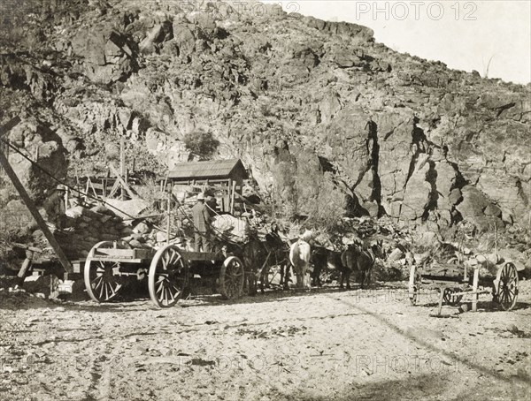 Outside Red Cloud gold mine. A team of donkeys and horses wait, harnessed to an empty cart, at Red Cloud gold mine in the Chuckwalla Mountains. Southern California, United States of America, March 1902., California, United States of America, North America, North America .