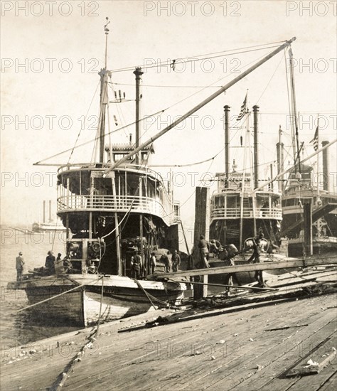 Unloading oil cake, New Orleans. Sacks of oil cake is unloaded from a cargo ship at a wharf on the Mississippi River. New Orleans, United States of America, March 1902. New Orleans, Louisiana, United States of America, North America, North America .