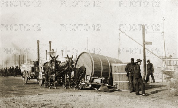 On the levee, New Orleans. A mule-drawn cart travels along a levee on the banks of the Mississippi River, which is lined with the tall masts of moored steamships and boats. New Orleans, United States of America, March 1902. New Orleans, Louisiana, United States of America, North America, North America .