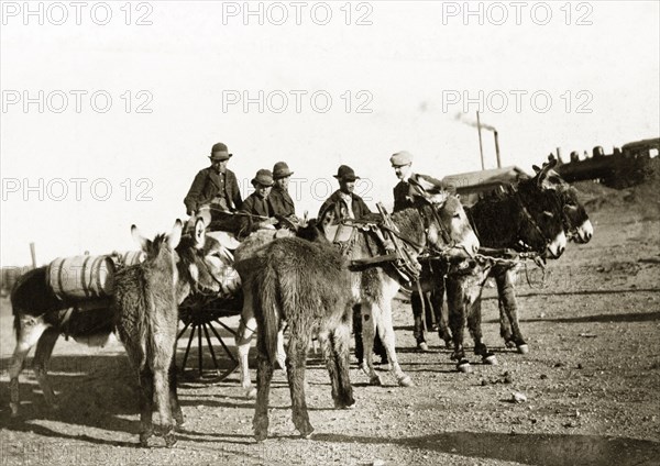 Mexicans travelling in a mule-drawn cart. A group of Mexicans travel along a rural road in a mule-drawn two-wheeled cart. Arizona, United States of America, 1902., Arizona, United States of America, North America, North America .