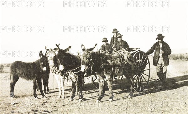 Mexicans travelling in a mule-drawn cart. A group of Mexicans travel along a rural road in a mule-drawn two-wheeled cart. Arizona, United States of America, 1902., Arizona, United States of America, North America, North America .