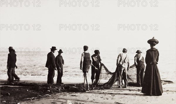 Fishermen haul in a seine, California. Fishermen haul in a seine (fishing net) on a Californian beach. California, United States of America, 1902., California, United States of America, North America, North America .