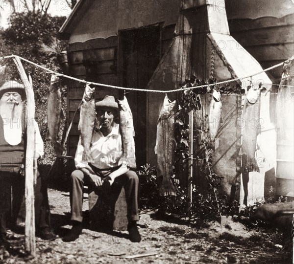 Admiring the day's fishing catch, New Zealand. Two men smoking pipes sit and admire a selection of exotic fish which hang from a string line. The fish were caught during a recreational fishing trip in the Pacific Ocean. South Island, New Zealand, 1902. New Zealand, New Zealand, Oceania.