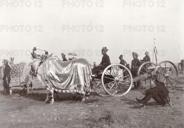 Baroda state gun at Coronation Durbar, 1903. A yak decorated in a gold cloak and adorned with silver cases on its horns prepares to pull the state salute gun of Baroda (Vadodara) during the entry procession of the Coronation Durbar. Delhi, India, circa 1 January 1903. Vadodara, Gujarat, India, Southern Asia, Asia.