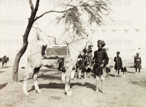 The Maharajah of Patiala's horse. An Indian servant attends to the Maharajah of Patiala's horse at the Coronation Durbar. Delhi, India, circa 1 January 1903. Delhi, Delhi, India, Southern Asia, Asia.