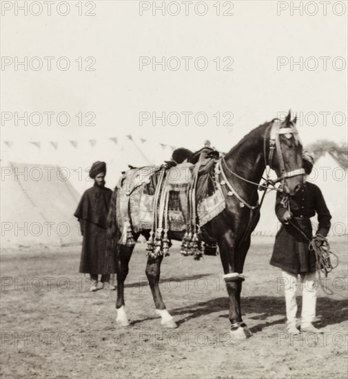 Caparisoned horse at Coronation Durbar, 1903. Indian servants attend to a caparisoned horse belonging to the Maharajah of Patiala's royal entourage at the Coronation Durbar camp. Delhi, India, circa 1 January 1903. Delhi, Delhi, India, Southern Asia, Asia.
