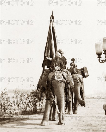 Flag bearers at Coronation Durbar, 1903. An Indian flag bearer for Jaipur State rides a caparisoned elephant during a procession at the Coronation Durbar. Delhi, India, circa 1 January 1903. Delhi, Delhi, India, Southern Asia, Asia.