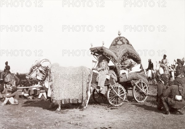 Caparisoned bullocks pulling a 'rath', 1903. Two caparisoned bullocks pull an ornate 'rath' (ceremonial chariot) during a procession at the Coronation Durbar. Delhi, India, circa 1 January 1903. Delhi, Delhi, India, Southern Asia, Asia.