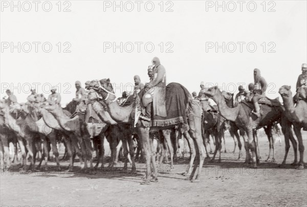 Bikaner Camel Corps at Coronation Durbar, 1903. A regiment of the Bikaner Camel Corps, mounted and dressed in chainmail armour, stand in line for parade at the Coronation Durbar. An original caption comments that this unit was deployed to Somaliland shortly after this photograph was taken. Delhi, India, circa 1 January 1903. Delhi, Delhi, India, Southern Asia, Asia.