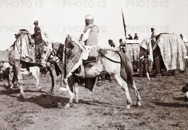 Drum horse at Coronation Durbar, 1903. An Indian soldier rides a drum horse during a procession at the Coronation Durbar, playing a drum cloaked in a standard. Delhi, India, circa 1 January 1903. Delhi, Delhi, India, Southern Asia, Asia.